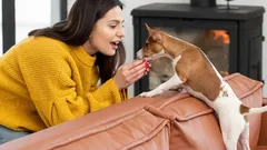 Por qué conviene acariciar a tu perro antes de salir de casa: consejo para todos los dueños