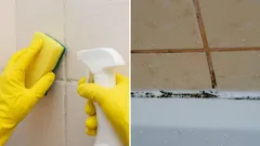 Limpieza perfecta en el baño: ¿con qué limpiar los azulejos y las juntas con moho sin esfuerzo?