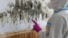 Este remedio casero elimina el moho en una hora: ideal para el baño y las paredes