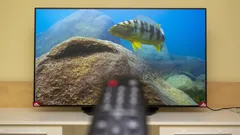 ¿Son realmente fiables los televisores OLED? No todo es tan evidente como parece
